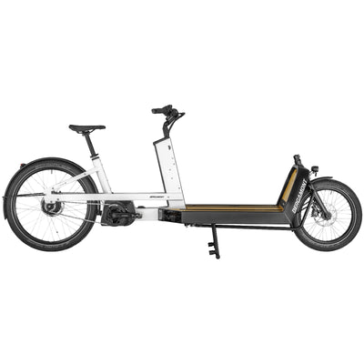 E-Bike Cargo
