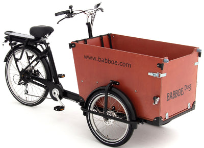 E-Bike Family