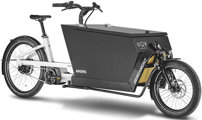 E-Bike Cargo für die Arbeit