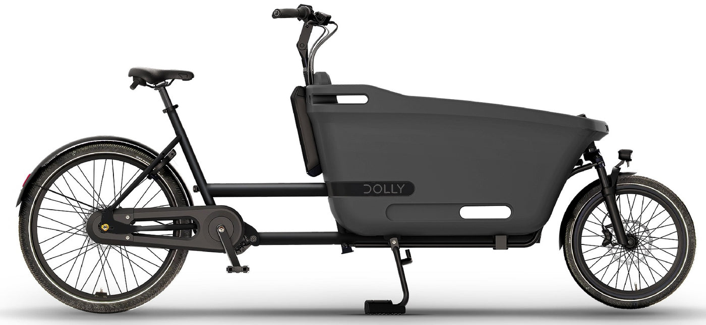 Dolly Joy - 400 Wh - 2026 - 26 / 20 Zoll - Damen und Herren