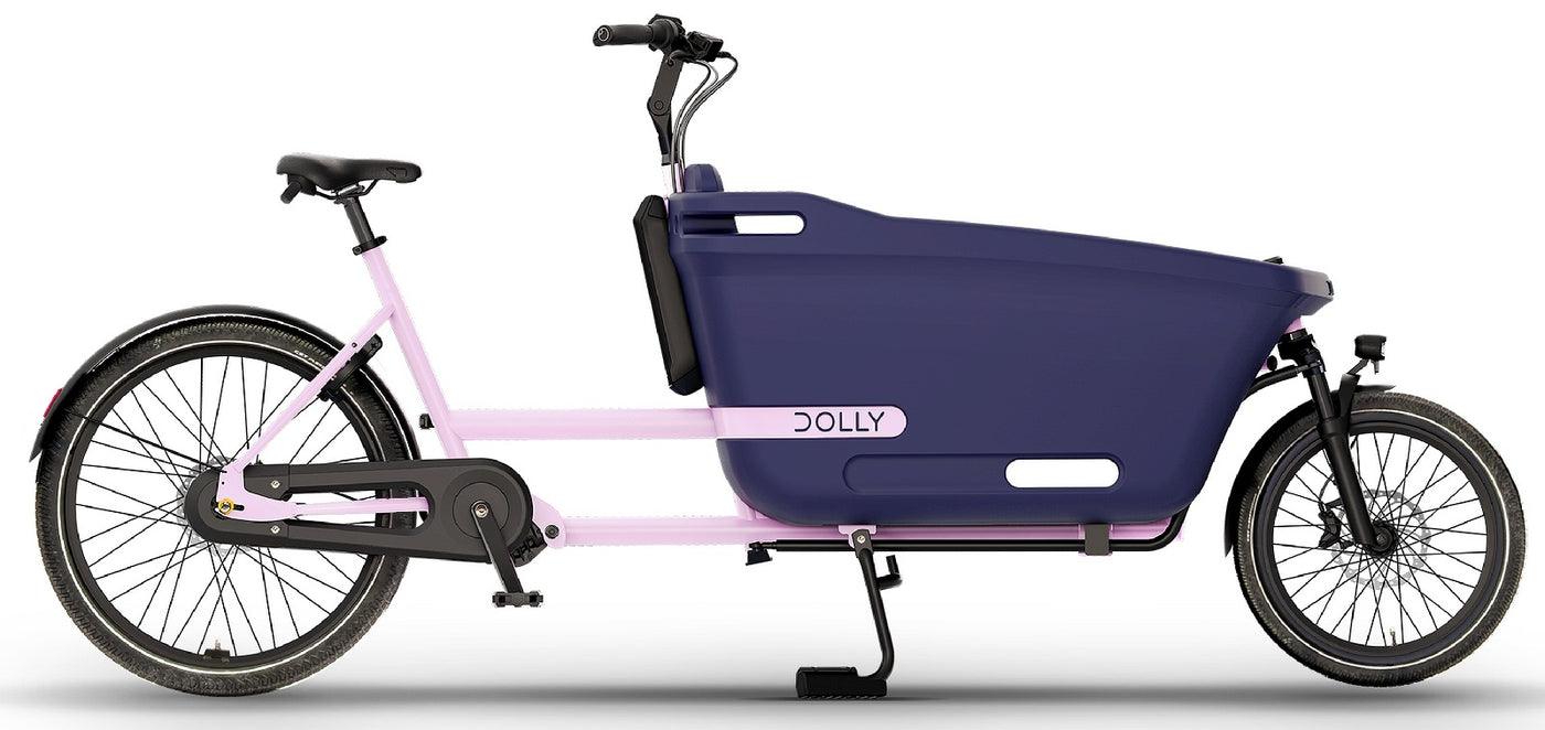 Dolly Joy - 400 Wh - 2026 - 26 / 20 Zoll - Damen und Herren