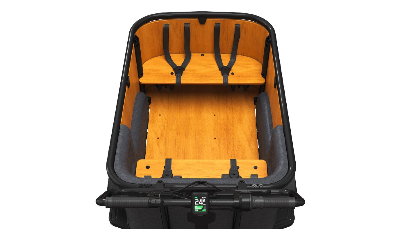 Cangoo Buckle Up - 700 Wh - 2026 - 26 Zoll - Damen und Herren