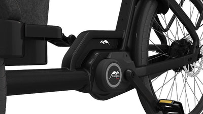 Cangoo Buckle Up - 700 Wh - 2026 - 26 Zoll - Damen und Herren