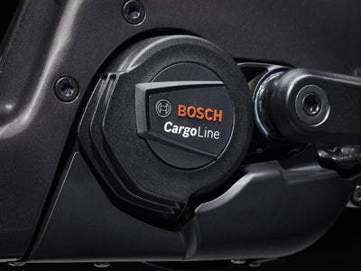 Trek Fetch+ 4 - 750 Wh - 2025 - 20 Zoll - Damen und Herren